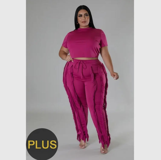 Pants Set-Stylish Plus Size w/Crop Top